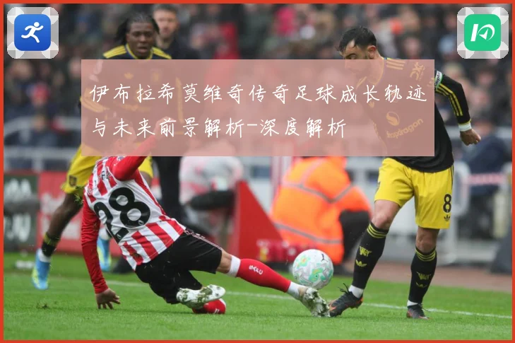 伊布拉希莫维奇传奇足球成长轨迹与未来前景解析-深度解析