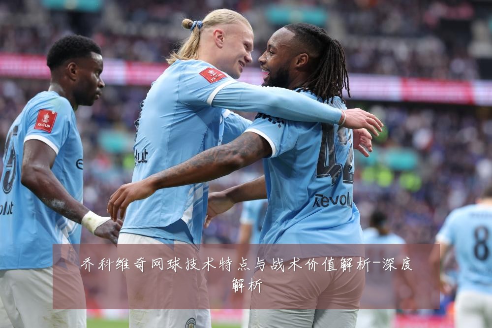 乔科维奇网球技术特点与战术价值解析-深度解析