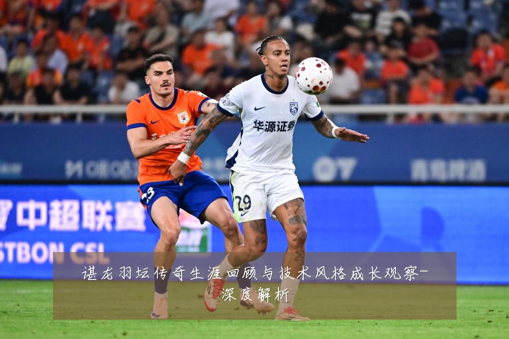 谌龙羽坛传奇生涯回顾与技术风格成长观察-深度解析